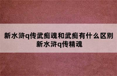 新水浒q传武痴魂和武痴有什么区别 新水浒q传精魂